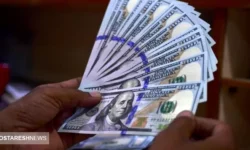 پیش بینی مهم درباره قیمت دلار | سقوط نرخ ارز ادامه دار است؟