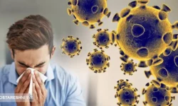 متاپنوموویروس انسانی و همه آنچه باید بدانید | علائم  hmpv چیست؟