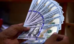 خبر فوری درباره سقوط قیمت در بازار دلار (جدول ۲۴ بهمن)