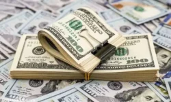 هشدار جدی درباره قیمت دلار | کنترل بازار از دست رفت
