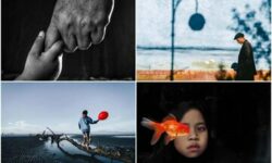 گزارش تصویری| برندگان مسابقه‌ی عکاسی موبایل شیائومی ۲۰۲۴