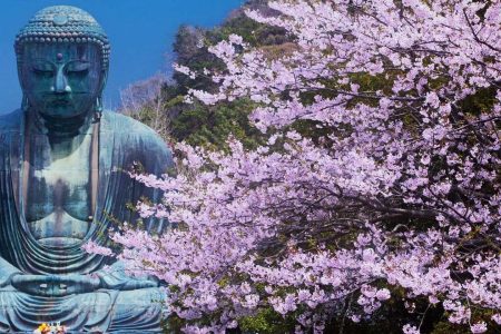 نسیم ساحلی کاماکورا: معابد و موج‌های تابستانی