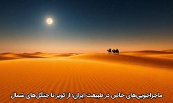 ماجراجویی‌های خاص در طبیعت ایران؛ از کویر تا جنگل‌های شمال