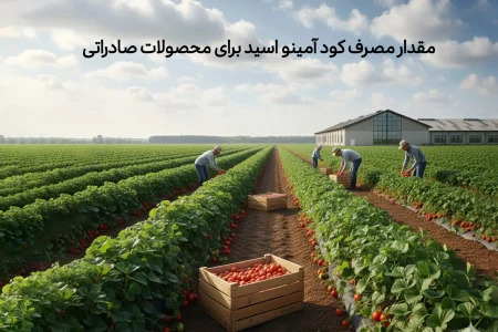 مقدار مصرف کود آمینو اسید برای محصولات صادراتی