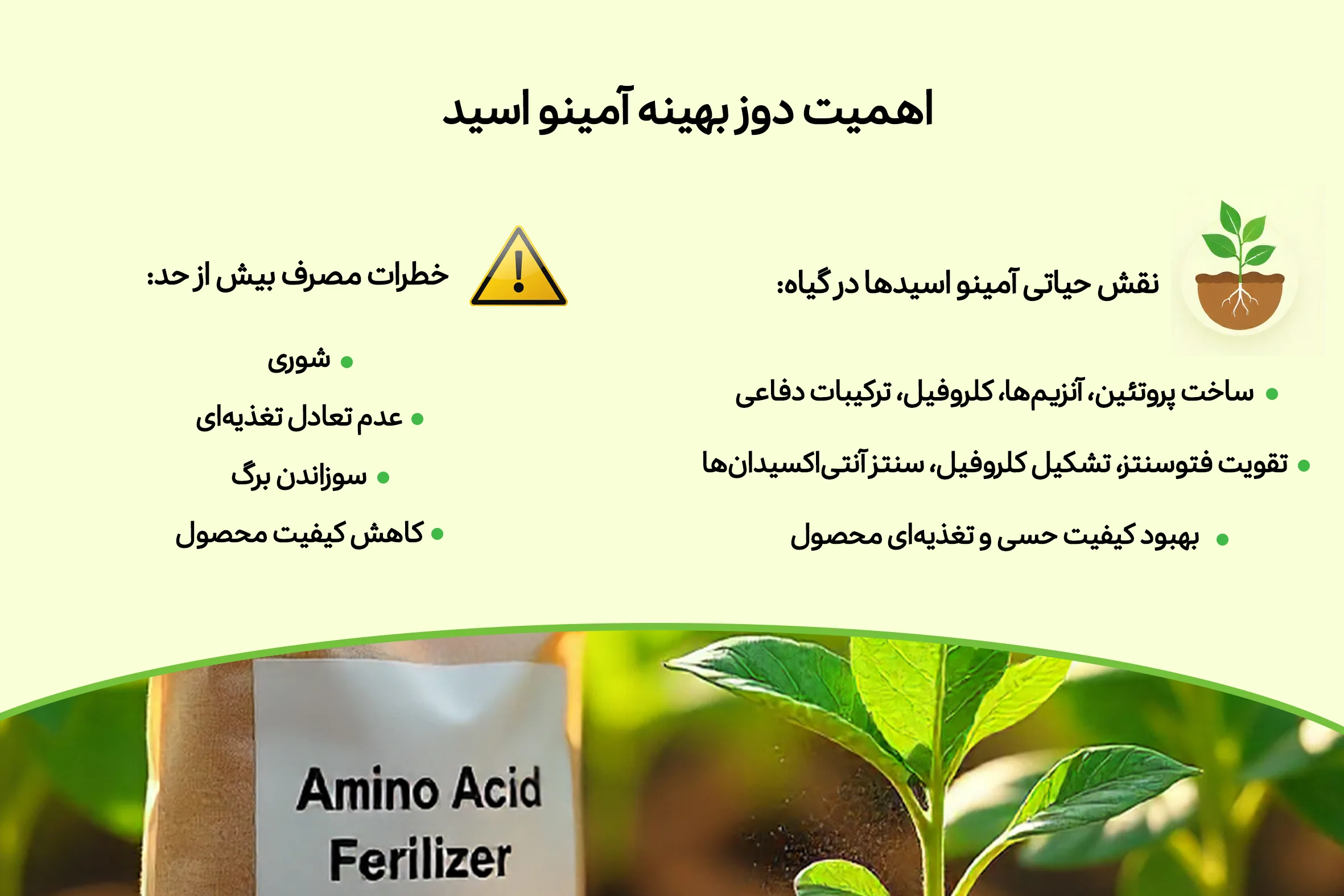 دلیل اهمیت مقدار بهینه آمینو اسید