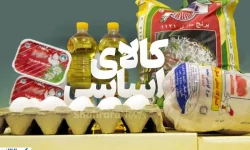 خبر مهم درباره ارز کالاهای اساسی اعلام شد