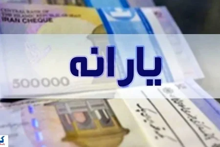 سرپرستان خانوار حتماً شبای خود را در سامانه «سیمین» ثبت کنند