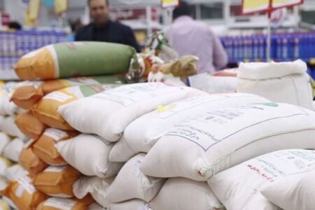فعال بازار برنج: وزارت جهاد با آزمون و خطا بازار را نامتعادل کرد