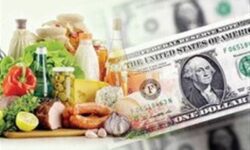 پشت‌پرده گرانی مواد غذایی با وجود تخصیص ارز ترجیحی