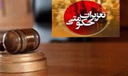 تشکیل 1604 پرونده گرانفروشی برای تولیدکنندگان و کارخانجات بزرگ