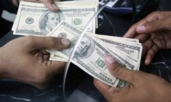 تشکیل پرونده قضایی برای اخلال گران ارز و نهاده های دامی