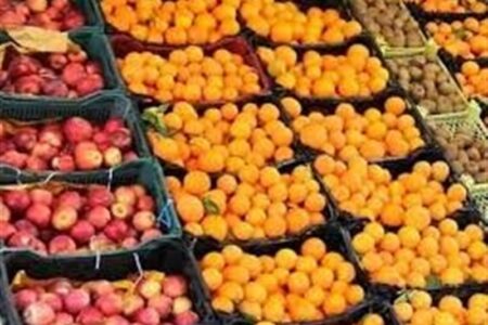 میوه تنظیم بازار شب عید ذخیره شد