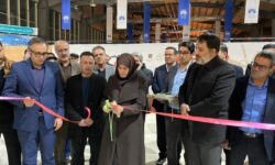 نمایشگاه صنایع غذایی، آرد و نان در زنجان گشایش یافت