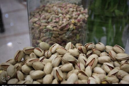 هسته‌ای در کشاورزی ــ 65 | دفع حشرات «پسته» با فناوری هسته‌ای