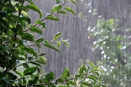 پیش بینی هوای تهران فردا ۱۹ آذر ۱۴۰۴/ تهران در آستانه بارش شدید