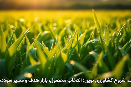 نقشه شروع کشاورزی نوین: انتخاب محصول، بازار هدف و مسیر سوددهی