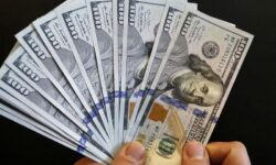 انتقال ارز پتروشیمی‌ها به تالار دوم؛ لزوم حمایت از صنایع پایین دستی