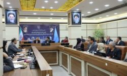 سلیمی: نقص نظارت در تسهیلات صنایع‌دستی باید جبران شود