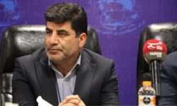 قیمت کالاهای اساسی در بازار کاهشی است