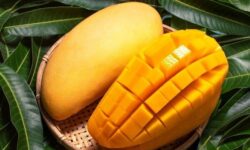 میوه‌ای برای حفظ وزن و کنترل قند خون