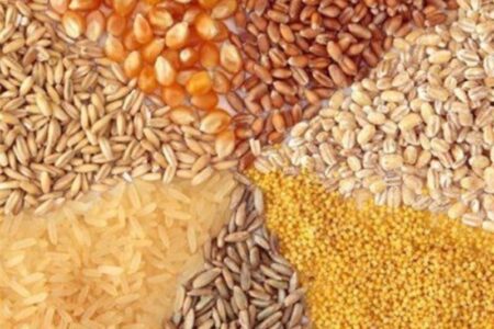 نهاده‌های فروخته‌شده گران نمی‌شود