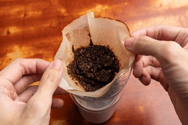 خط قرمزهای تغذیه‌ای در دوران بارداری