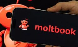 رسوایی شبکه اجتماعی Moltbook؛ آدرس ایمیل و کلید API هزاران کاربر لو رفت