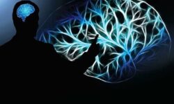 سلامت مردان در محیط کار؛ محور برنامه های نظارتی وزارت بهداشت