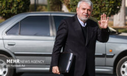 صالحی امیری:  ۱۴۰۵ سال شکوفایی صنایع دستی ایران است