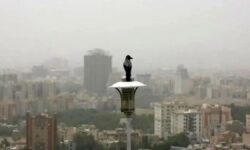 هشدار آلودگی در تهران / گروه‌های حساس مراقبت کنند