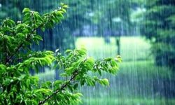 ترسالی نسبی در برخی استان‌های کشور / میانگین بارندگی در تهران کمتر از نرمال است