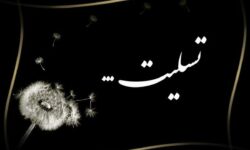 شهادت دانشجوی پزشکی در بمباران میدان انقلاب