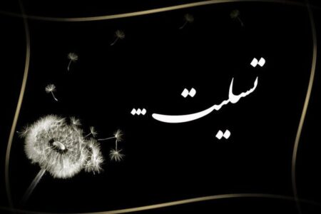شهادت دانشجوی پزشکی در بمباران میدان انقلاب
