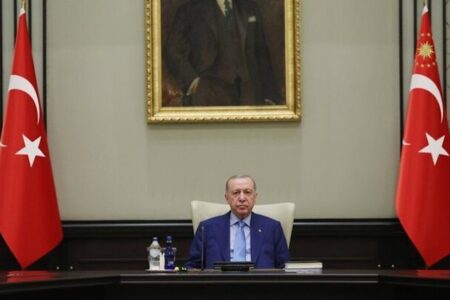 اردوغان استفاده از اسلحه در ترکیه را محدود می‌کند