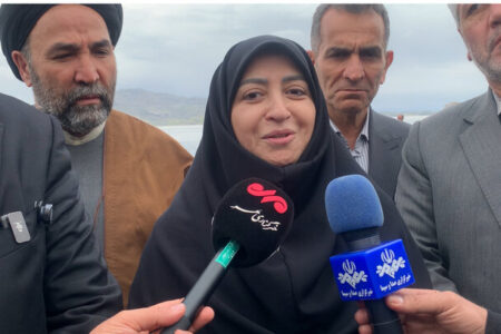 انصاری: مدیریت آب بخش کشاورزی برای احیای دریاچه ارومیه ضروری است
