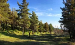 تعطیلی چهار بوستان جنگلی تهران در روز سیزده بدر/ اطلاعیه مهم شهرداری تهران