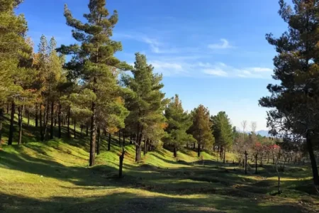 تعطیلی چهار بوستان جنگلی تهران در روز سیزده بدر/ اطلاعیه مهم شهرداری تهران