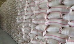 توزیع ۵۴۰۰ تُن کود اوره در آذربایجان شرقی