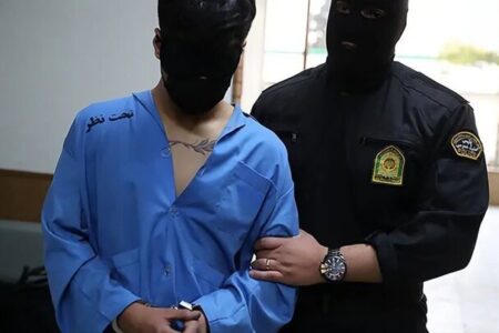 دستگیری عامل مرتبط با رسانه های بیگانه در شهرستان انار