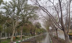 شاهرود در شب‌های بارانی؛ نگینی که با هر قطره جان می‌گیرد