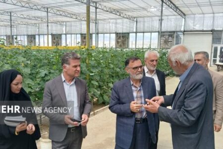 «نظارت مستمر» ضریب خودکفایی را بالا می‌برد؛ «کشاورزان» مجاهدان بی‌ادعا