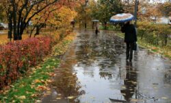 پیش بینی هوای تهران تا دو روز آینده/ وزش باد شدید و افزایش دما