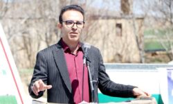 ۷۰۰ هکتار گندم و ۲ هزار هکتار لوبیا با روش نوین در ازنا کشت می‌شود