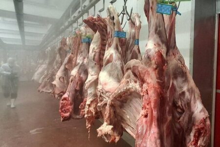 افزایش هزینه بسته‌بندی گوشت چقدر روی قیمت اثر دارد؟ / دبیر انجمن تولید و بسته‌بندی گوشت توضیح داد