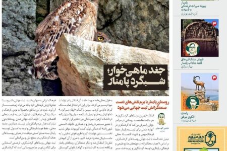 انتشار «زمینی‌ها» با رویکرد روستای گردشگری پامنار و جغد ماهی‌خوار