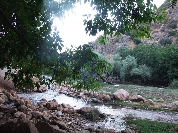 بهشتی در سایه گردوها؛ اینجا درخت‌ها تاریخ دارند