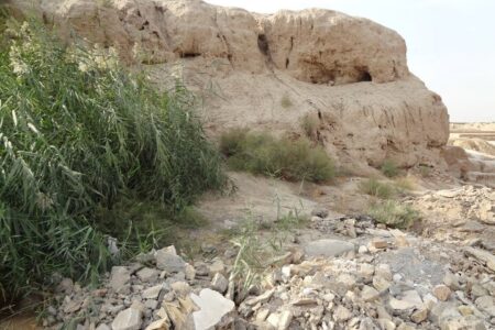 گنجینه‌ای هفت هزار ساله در میان زباله‌ها
