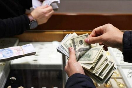 تغییر مهم در سیاست ارزی کشور / تخصیص ارز هدفمند شد