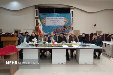 دیناری: شیروان ظرفیت تبدیل شدن به قطب گردشگری را دارد