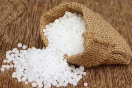 تأمین مالی اوره حمایتی؛ پیش‌شرط پایداری تولید و امنیت غذایی